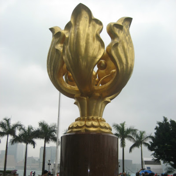 nam_tran196075